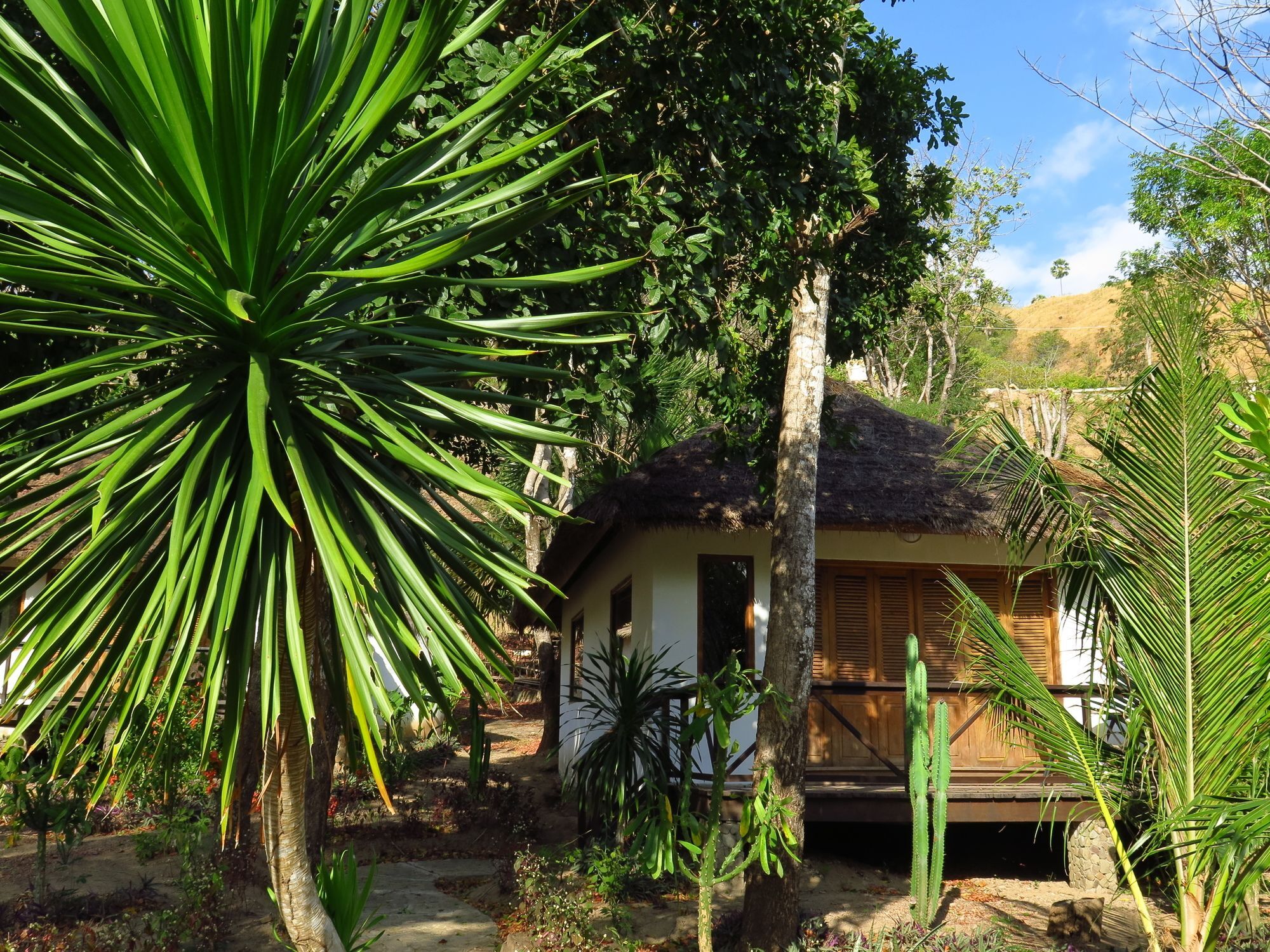 Coconut Beach Resort Labuan Bajo Buitenkant foto